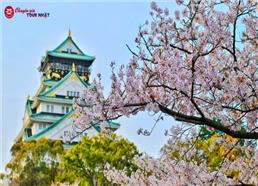 [HCM] Tour Nhật Bản Hành Trình Vàng Đẹp Nhất 2026